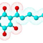 MaltoryzinewebD