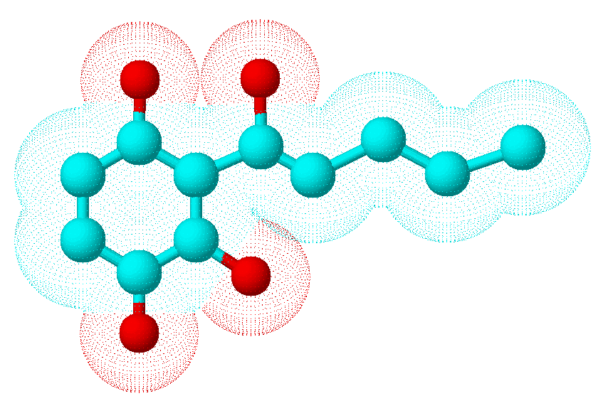 MaltoryzinewebD