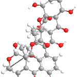 Neosartorinweb3D