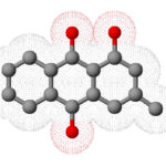 Pachybasin_3D