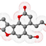 Parasiticol_3D