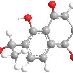 Parvulenoneweb3D