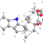 Paxillinweb3D