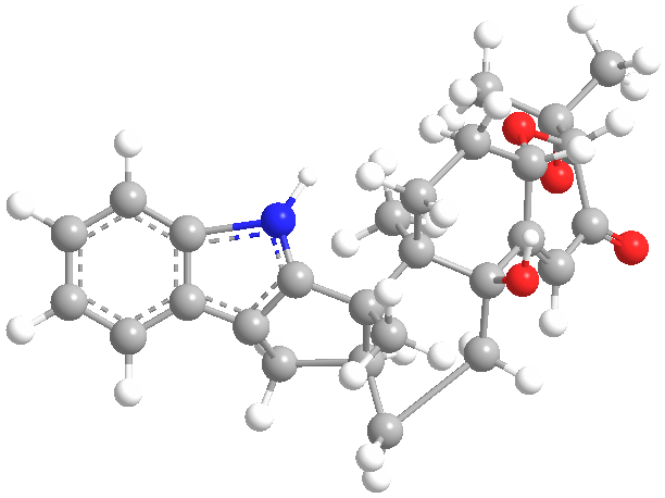 Paxillinweb3D