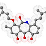 Silvaticamide_3D