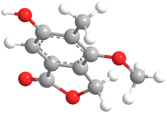 Silvaticolweb3D