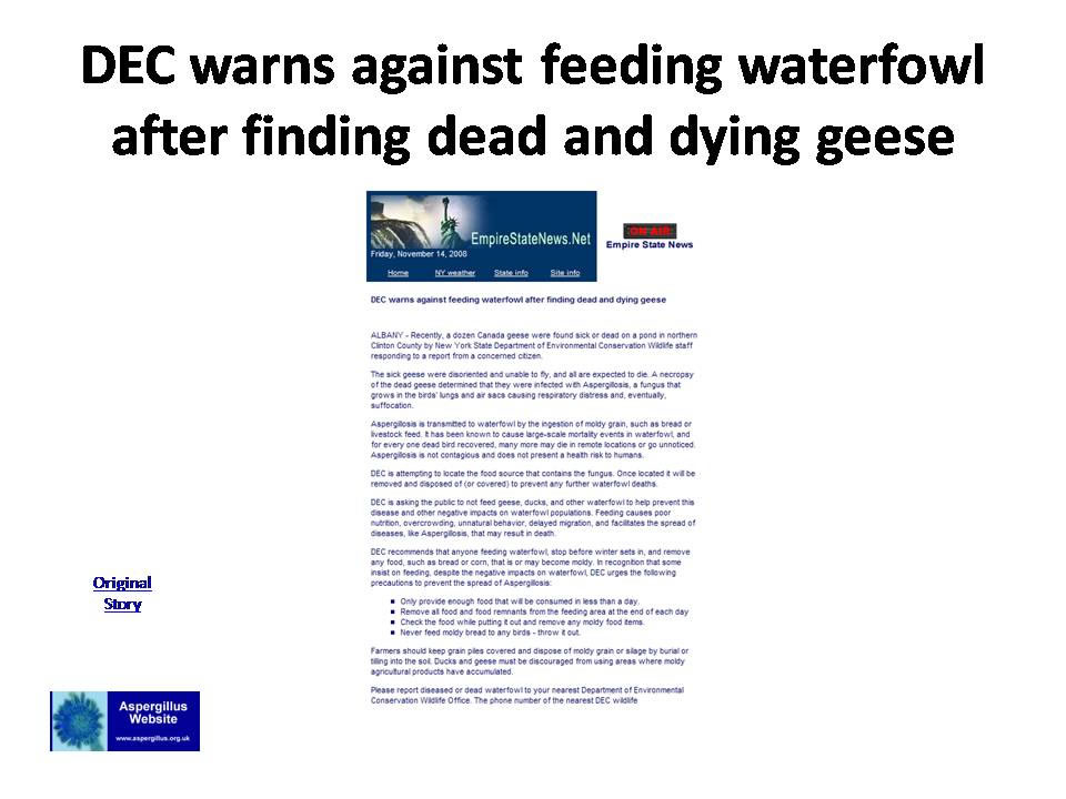 Slide19_JPG