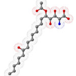 Sphingofungin_C_3D