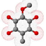 Spinulosin_3D