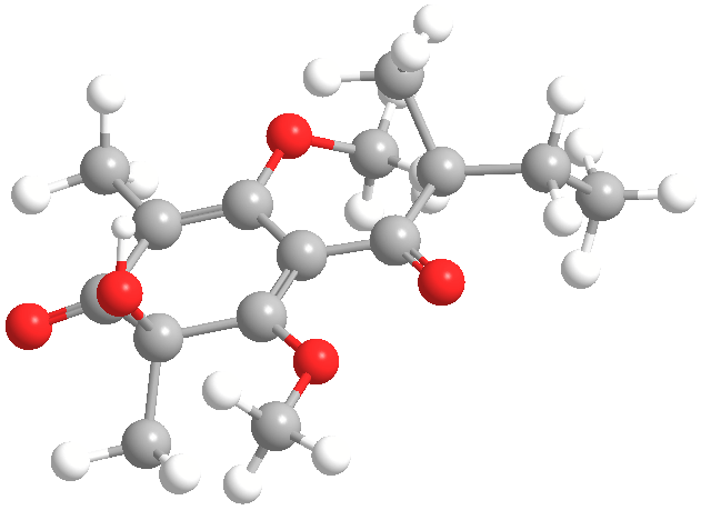 WasabidienoneB1web3D