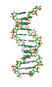 animateddna