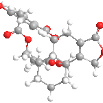 astellolideBweb3D