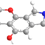 cichorineweb3D