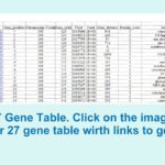 cluster_27_table