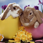 eastersm