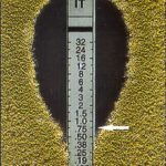 etest1