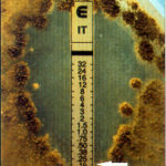 etest4