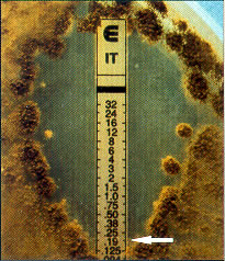 etest4