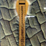 etest5