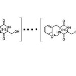 gliotoxin_biosynthesis