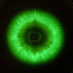 glowingfungus2