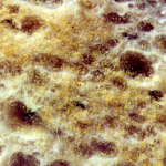 image010