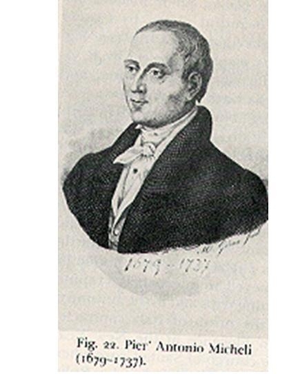 micheli