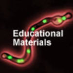 nucleigfpeducation