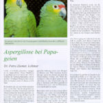 page1_large