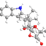 paspalinineweb3D