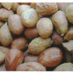 peanuteurotium