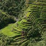 rice_terraces