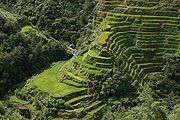 rice_terraces