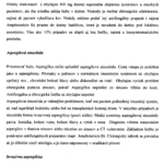 slovak2