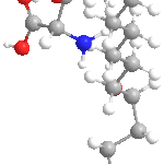 sphingofunginCweb3D