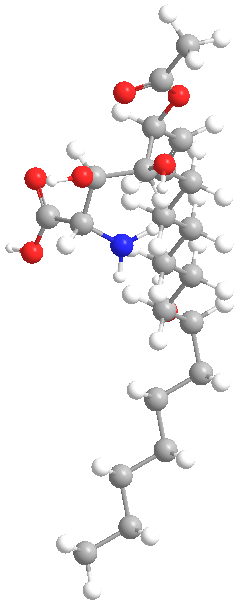 sphingofunginCweb3D