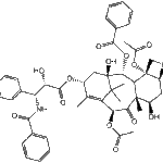 taxol