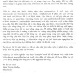 viet3
