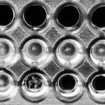 vitro4