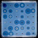 vitro5