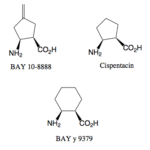 BetaAminosaurin