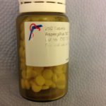 homeopathy