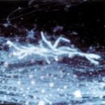 microscopy12
