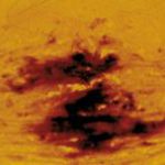 microscopy13