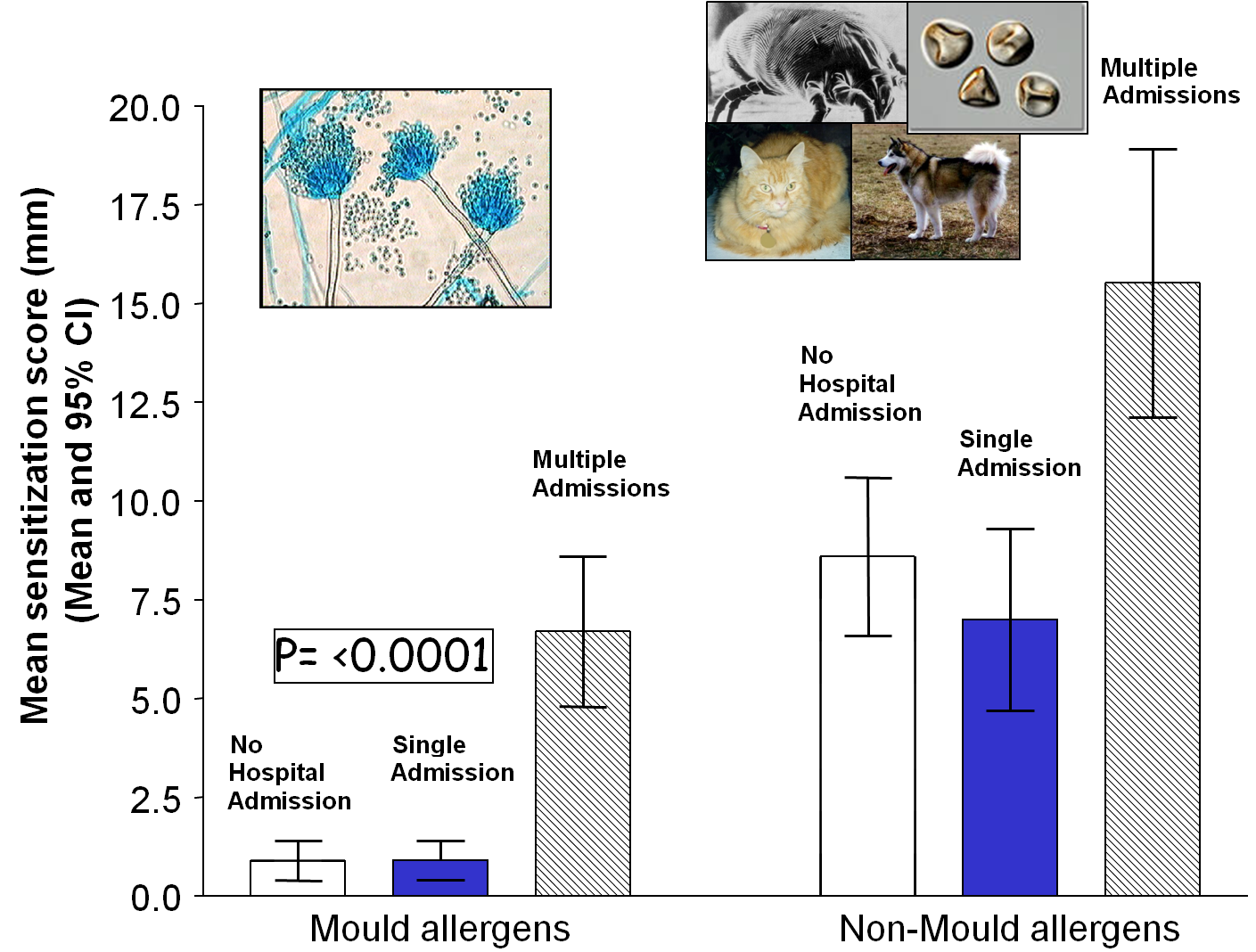 Aspergillosis: an Update on Clinical Spectrum, Diagnostic Schemes, and  Management | Current Fungal Infection Reports