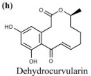 dehydrocurvularin dehydrocurvularin
