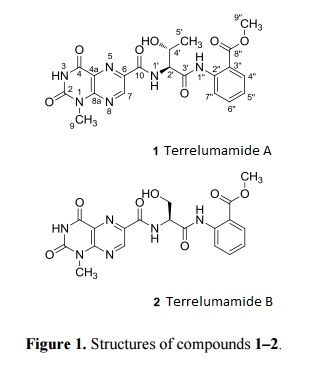 Terrelumamide Terrelumamide