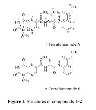 Terrelumamide