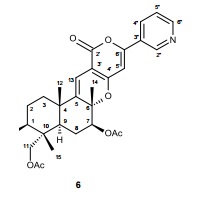 pyripyropeneS pyripyropeneS