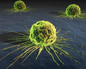 overview-of-biomarkers-in-disease-drug-discovery-and-development